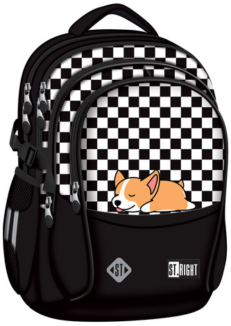 Plecak 4-komorowy Stright BP-01 Sleepy Corgi, St.Majewski