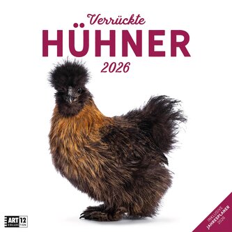 Verrückte Hühner Kalender 2026 - 30x30