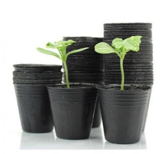 IGOTREND, Květináč sadbový 7,5 x 6,7 cm, 100 ks IGOTREND, Květináč sadbový 7,5 x 6,7 cm, 100 ks