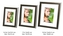 DUE ESSE, Set 3 ks fotorámečků dekor tmavé dřevo, 10x15 cm / 13x18 cm / 15x20 cm