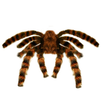 Widmann Tarantule dekorace 65 cm