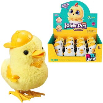 Kurczak nakręcany MIX