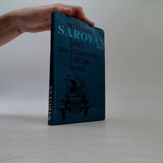 Léto na krásném bílém koni