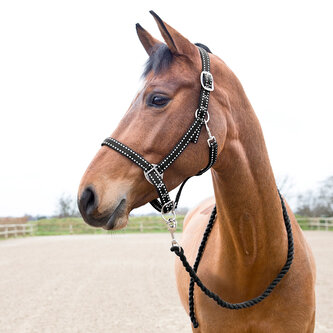 Horze Set ohlávky a vodítka pro koně Cooper Černá Pony
