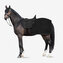 Horze bederní deka Kiel Back Rug Černá Pony