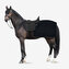 Horze bederní deka Kiel Back Rug Tmavě modrá Pony
