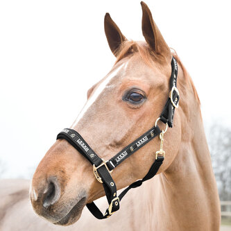 Horze Ohlávka pro koně Hamptons Černá Pony