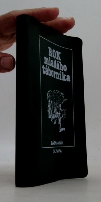 Rok mladého táborníka