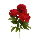 Pivoňka kytice červená  JH071 červená