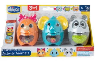 Zwierzaki aktywizaki