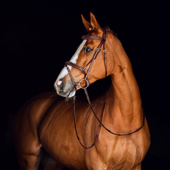 Horze Uzdečka s otěžemi Sion Hnědá Cob