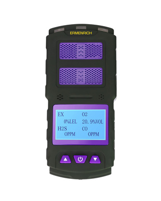Detektor plynu Ermenrich NG60