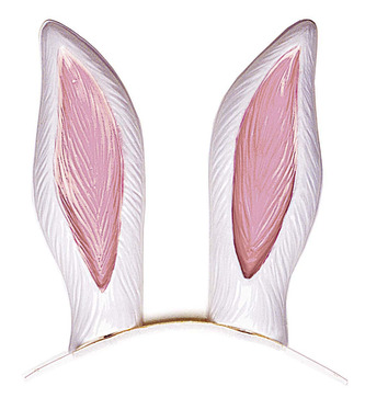 Widmann Uši zajíc na čelence