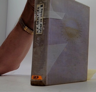 Závod ve stínu III