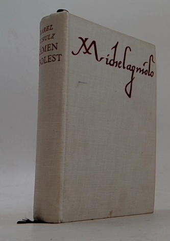 Kámen a bolest : Michelangelo Buonarroti