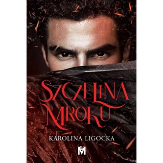 Szczelina mroku