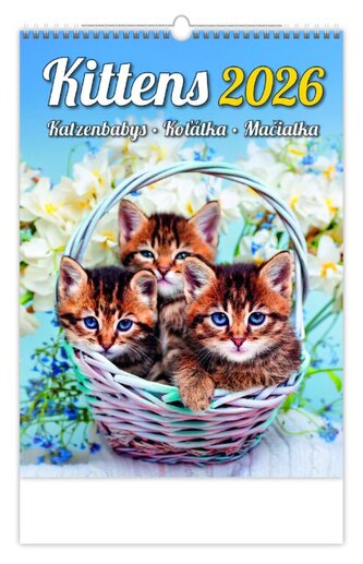Kalendář Koťátka