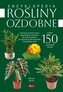 Rośliny ozdobne