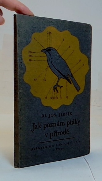 Jak poznám ptáky v přírodě