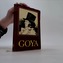 Goya, 1. díl