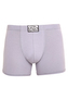 Pánské boxerky Styx long klasická guma světle šedé (F1067) XL