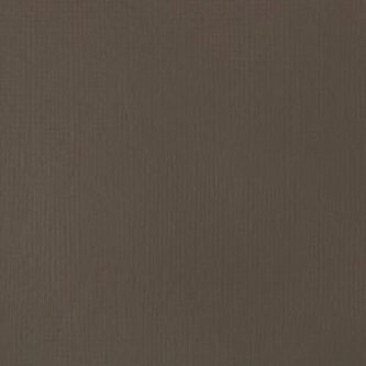 Akrylová barva Basics Fluid 118ml – 331 Raw Umber