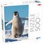 Puzzle 500 Baby penguin