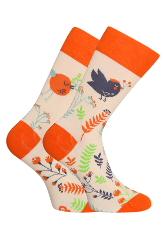 Veselé ponožky Dedoles Roztomilí ptáčci (D-U-SC-RS-C-C-1569) L