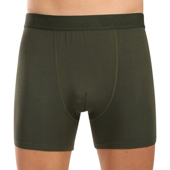 Pánské boxerky Gino zelené (74160-DCZ) XL