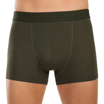 Pánské boxerky Gino zelené (73126) M