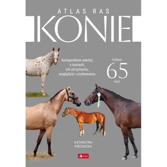 Konie Atlas ras Konie Atlas ras