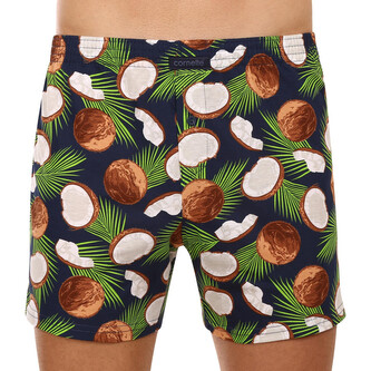 Pánské trenky Cornette Classic vícebarevné (001/134) M