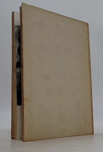 Michelangelo Buonarroti život a dílo