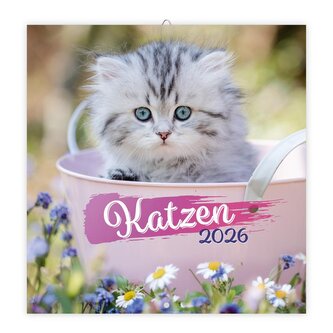 Trötsch Broschürenkalender Katzen 2026