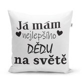 Polštář Já mám nejlepšího dědu na světě: 40x40 cm