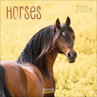 Horses 2026