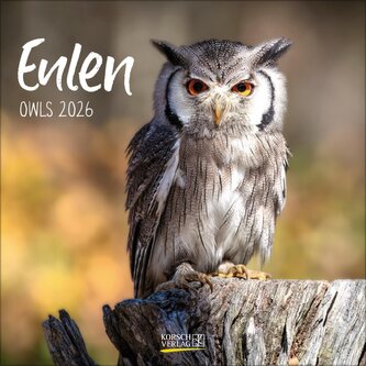Eulen 2026