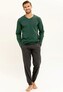Piżama Taro Dan 3301 dł/r L-2XL Z24/25 męska zielony XXL