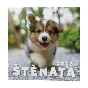 Baloušek Tisk - nástěnný poznámkový kalendář Štěňata 2026, 28,5 × 28,5 cm