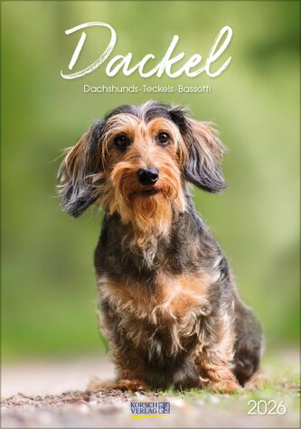 Dackel 2026