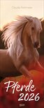 Pferde 2026