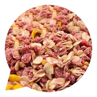 Müsli křupavé s malinami a kokosem 4 kg BIO   BIO NEBIO