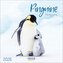 Pinguine 2026