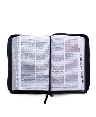 Santa Biblia de Promesas Reina Valera 1960 / Tamaño Manual / Letra Grande / Piel Especial Con Índice Y Cierre / Negra // Spanish