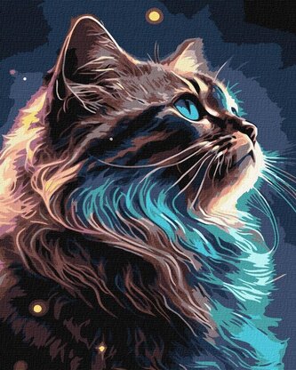 Malowanie po numerach - Magia kosmosu 40x50cm