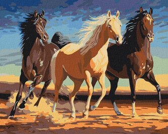 Malowanie po numerach - Stado 40x50cm