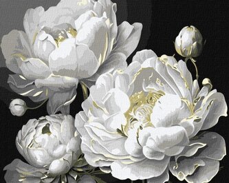 Malowanie po numerach - Nieskazitelne piękno 40x50