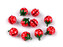 Rolničky jahoda Ø17 mm - 10 ks - červená