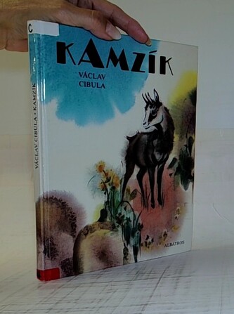 Kamzík