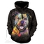 Mikina The Mountain Hoodie Beware Of Pit Bulls - černá, XXL